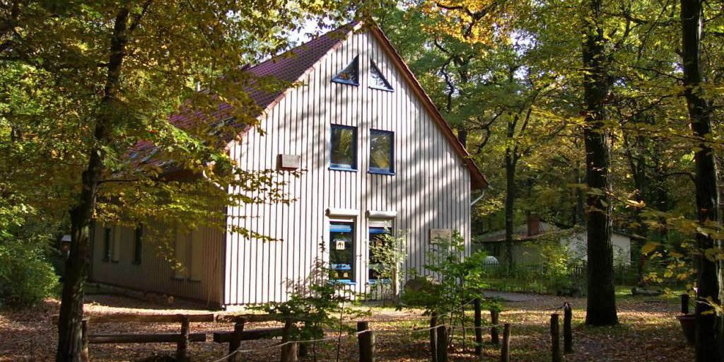 Waldschule Plänterwald