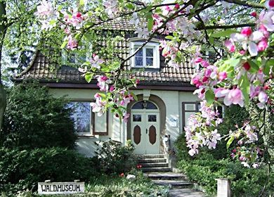 Waldmuseum Grunewald