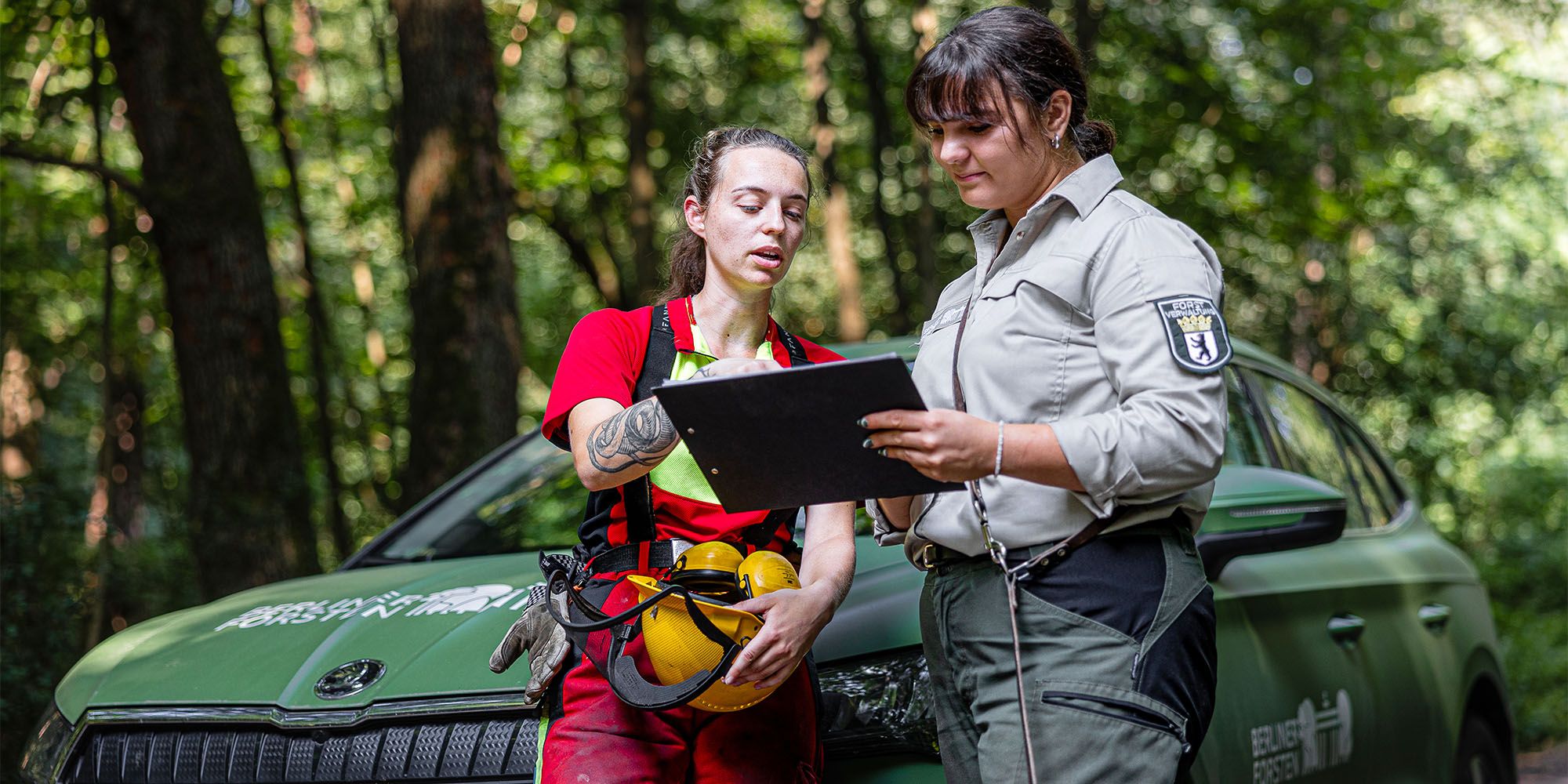 Datenerhebung für den Waldzustandbericht durch die Berliner Forsten