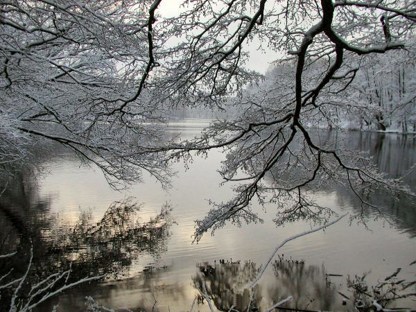Krumme Lanke