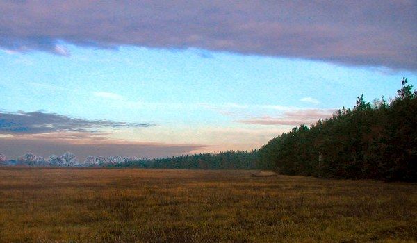 Blick auf die Felder