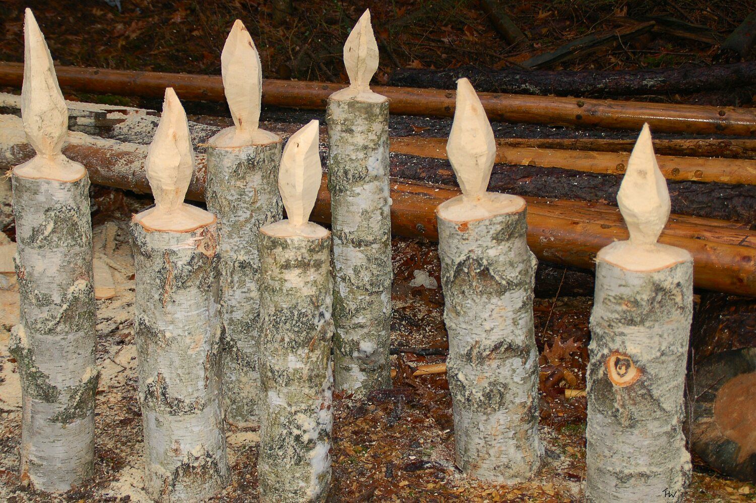 Weihnachten im Wald
