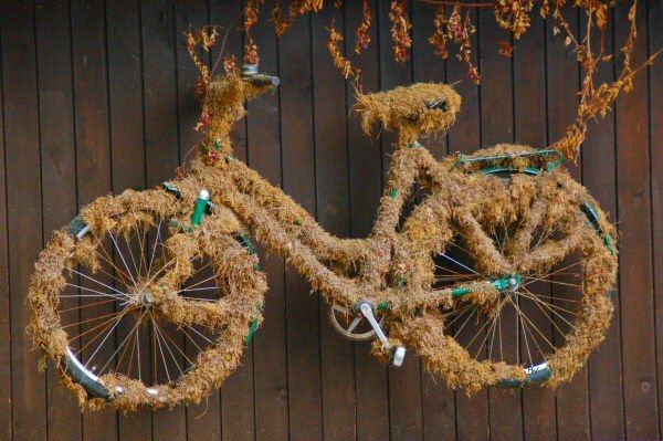 'naturnahe' Fahrradtour