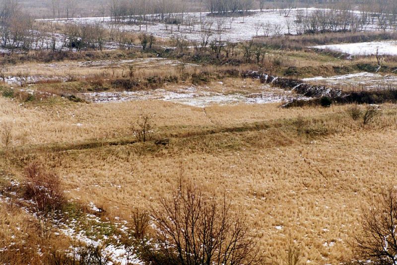 Umwandlung der Landschaft in einen Erholungswald