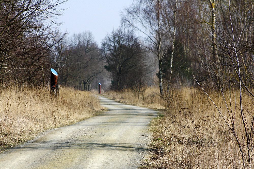 Die alten Rieselrohre mit leuchtend blauer Spitze weisen den Weg.