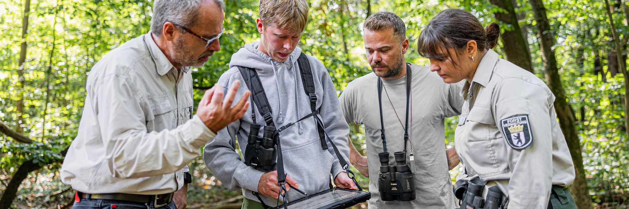 Die Berliner Forsten erheben die Daten für den Waldzustandsbericht.