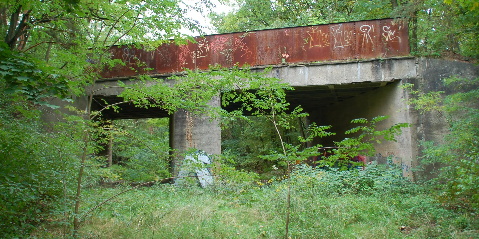 Waldvegetation