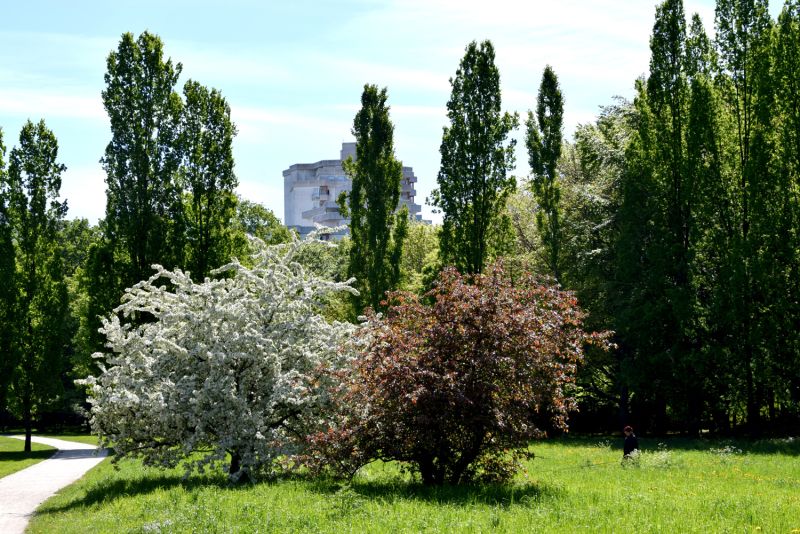 Grüne Gropiusstadt 2018