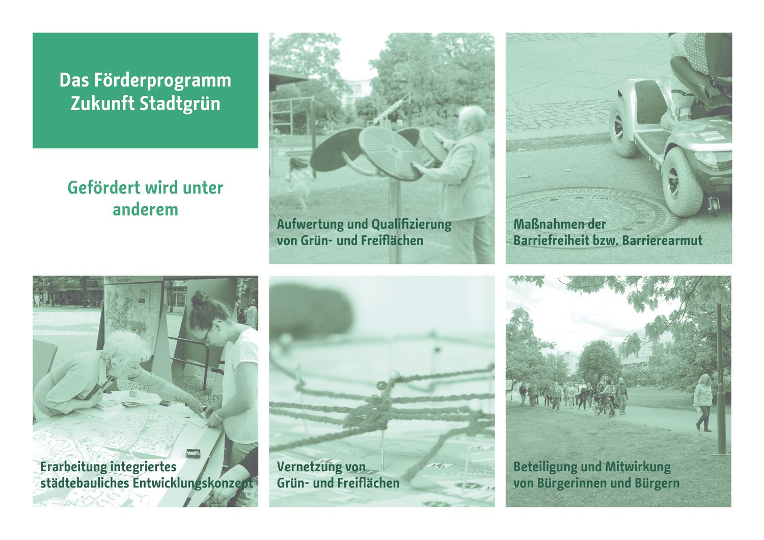 Förderprogramm Zukunft Stadtgrün