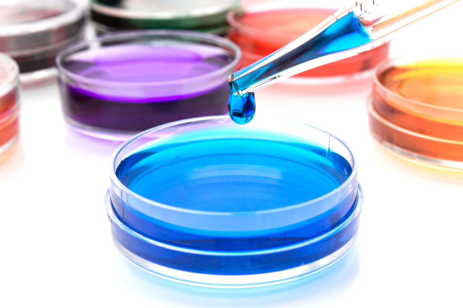 Pipette mit einem Farbtropfen in einer Petrischale