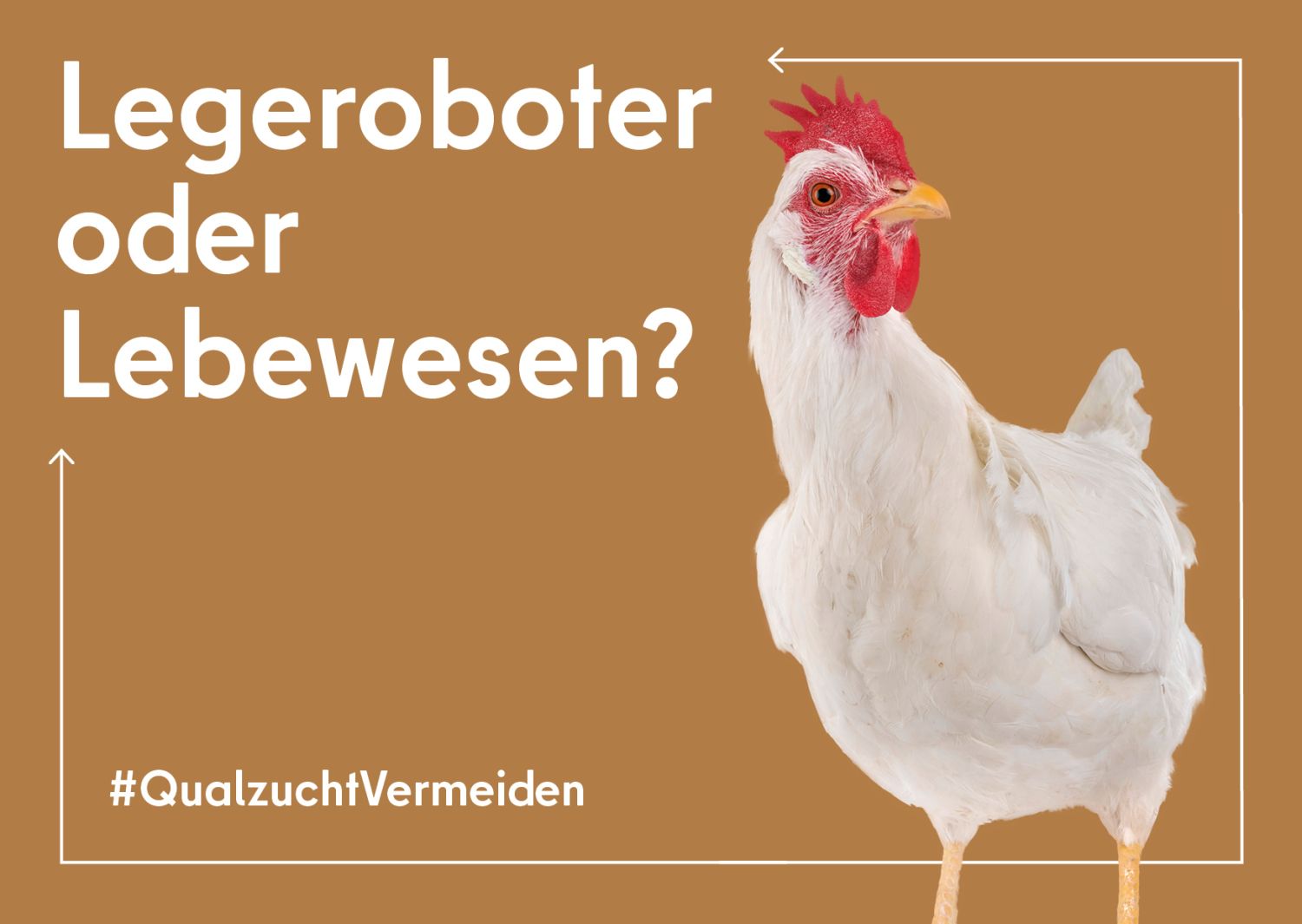 Henne auf einer Postkarte. Spruch: Legeroboter oder Lebewesen?
