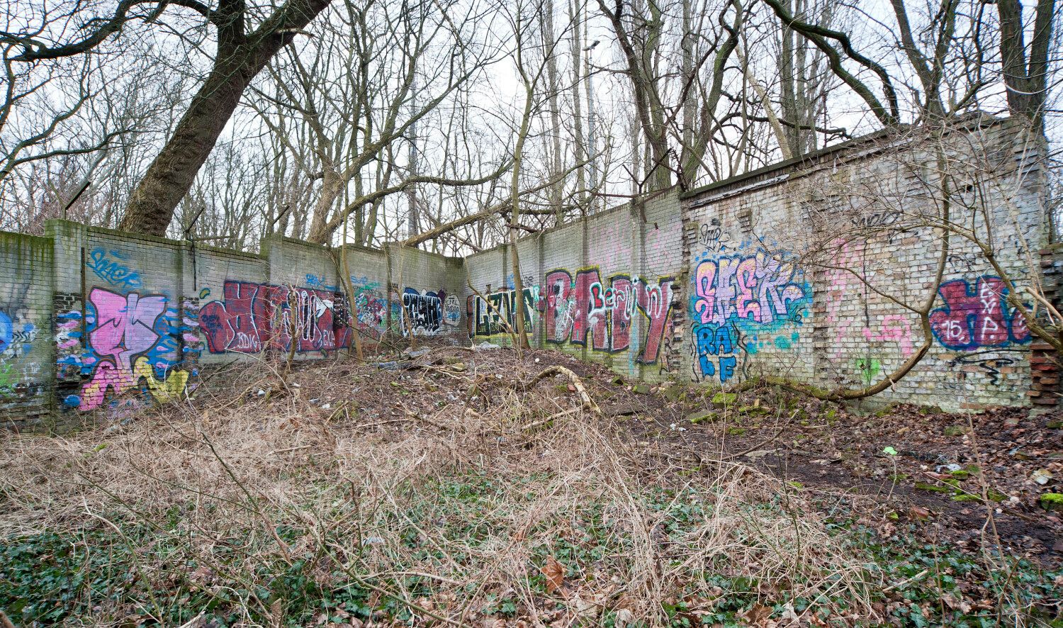 Erste Grenzmauer östlich des S-Bahnhofs Schönholz