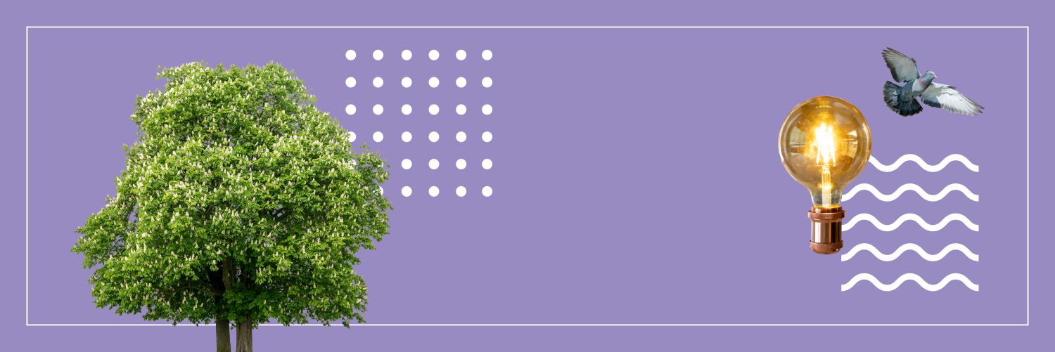 Header Presse Collage Baum Glühlampe
