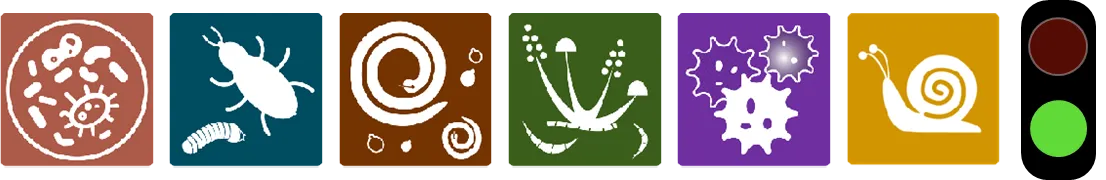 Icons zu Pflanzenschädlingen (Bakterien, Insekten, Nematoden, Pilze, Viren, Schnecken)