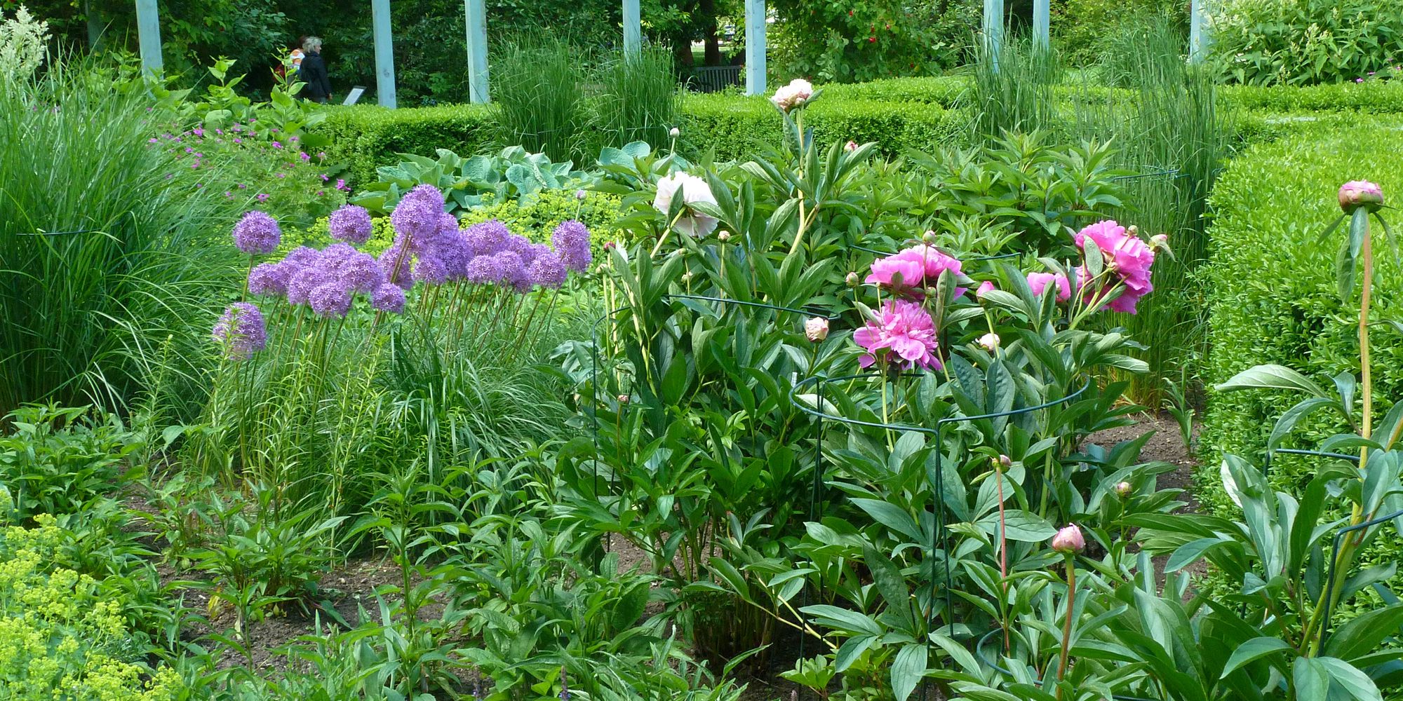 Staudengarten