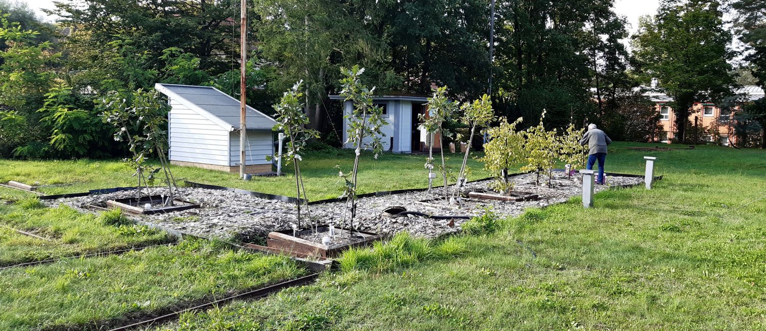 Versuchsanlage Drachenkopf Eberswalde