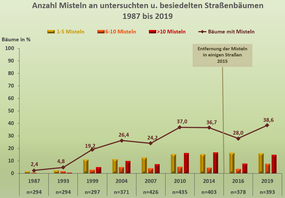 Häufigkeit der Misteln an untersuchten und besiedelten Straßenbäumen, Stadtgebiet Berlin, 1987 bis 2019