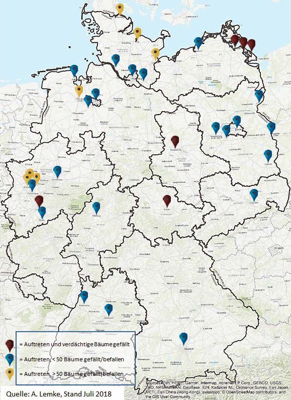 Auftreten Pseudomonas syringae pv. aesculi in Deutschland bis Juli 2018 (Bild: Quelle: OpenStreetMap, bearbeitet durch A. Lemke)
