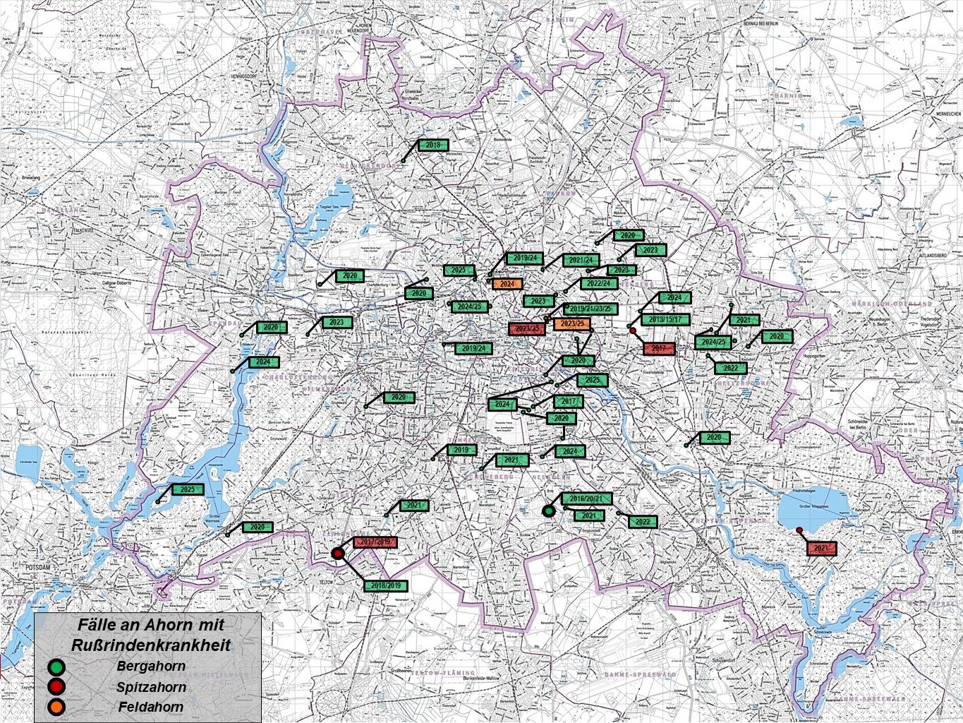 Bestätigte Fälle an Ahorn mit Rußrindenkrankheit im Stadtgebiet Berlin, Stand: 31.12.2025 (Bild: Pflanzenschutzamt Berlin, Karte: Geoportal Berlin)
