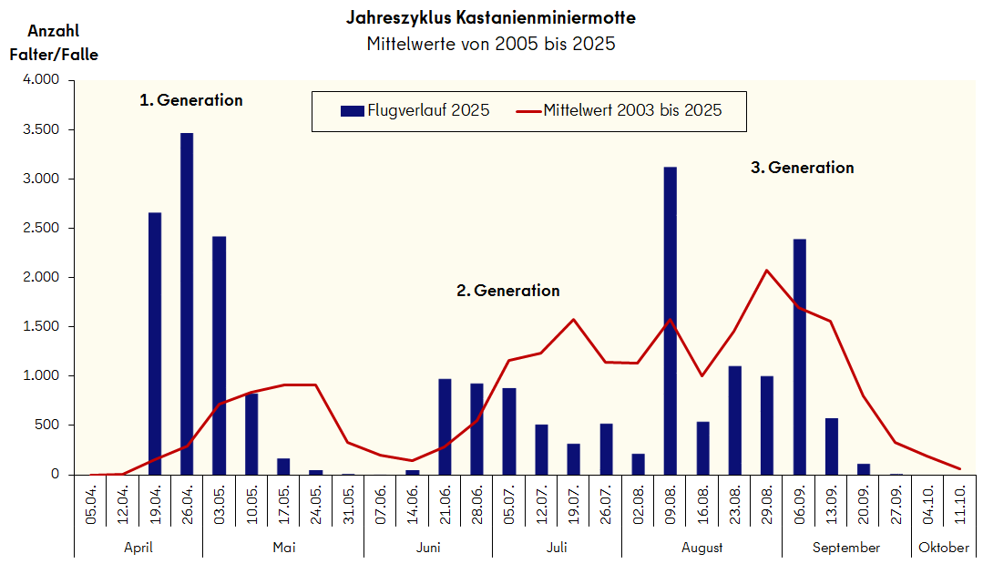 Flugverlauf der Kastanienminiermotte 2025 im Vergleich zum Mittelwert 2003 bis 2025