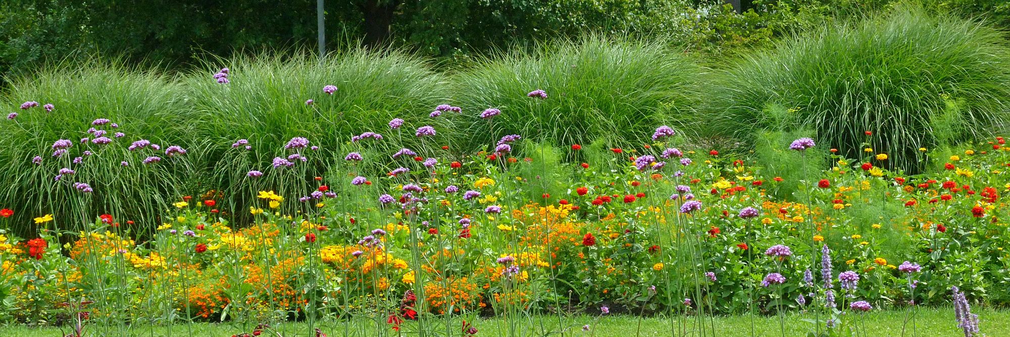 Wechselflor im Britzer Garten