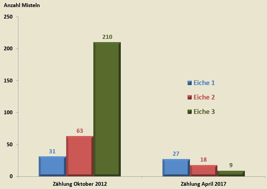 Anzahl der Misteln vor dem ersten Schnitt 2012 und im April 2017 (Bild: Pflanzenschutzamt Berlin)
