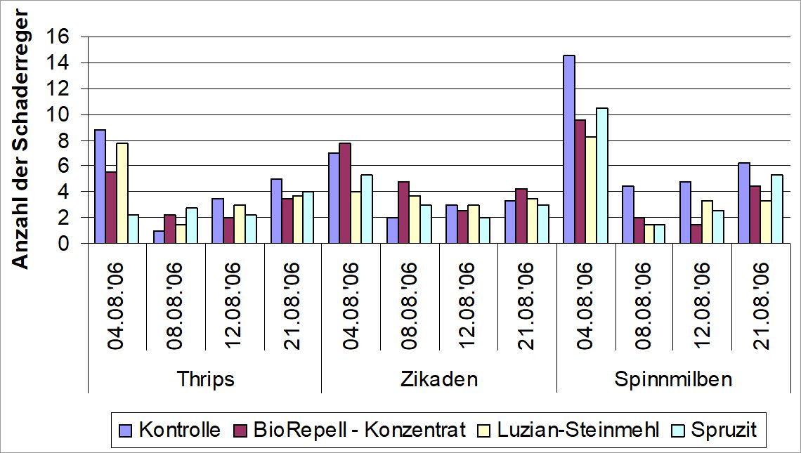 Abb.1: Zur Wirkung einer einmaligen Applikation von Pflanzenstärkungsmitteln (BioRepell und Luzian-Steinmehl) und Spruzit auf Thripse, Zikaden und Spinnmilben an Kräuterarten, Berlin, 2006 (Bild: Pflanzenschutzamt Berlin)