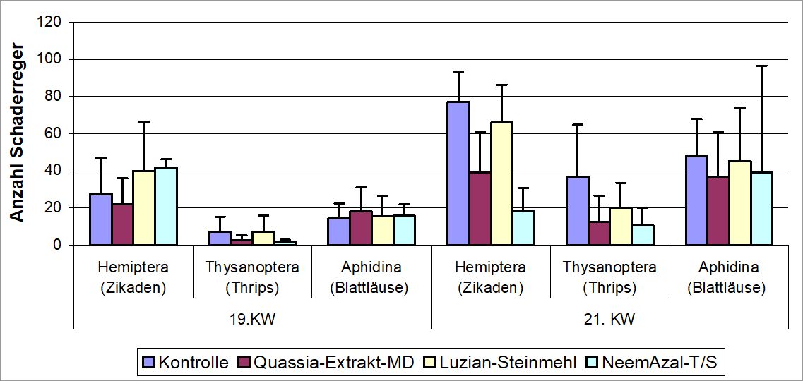 Abb.2: Zur Wirkung einer dreifachen Behandlung von Luzian-Steinmehl, Quassia-Extrakt und NeemAzal-T/S auf die Populationsentwicklung von Zikaden, Thripsen und Blattläusen in Kräutern, Berlin, 2008 (Bild: Pflanzenschutzamt Berlin)