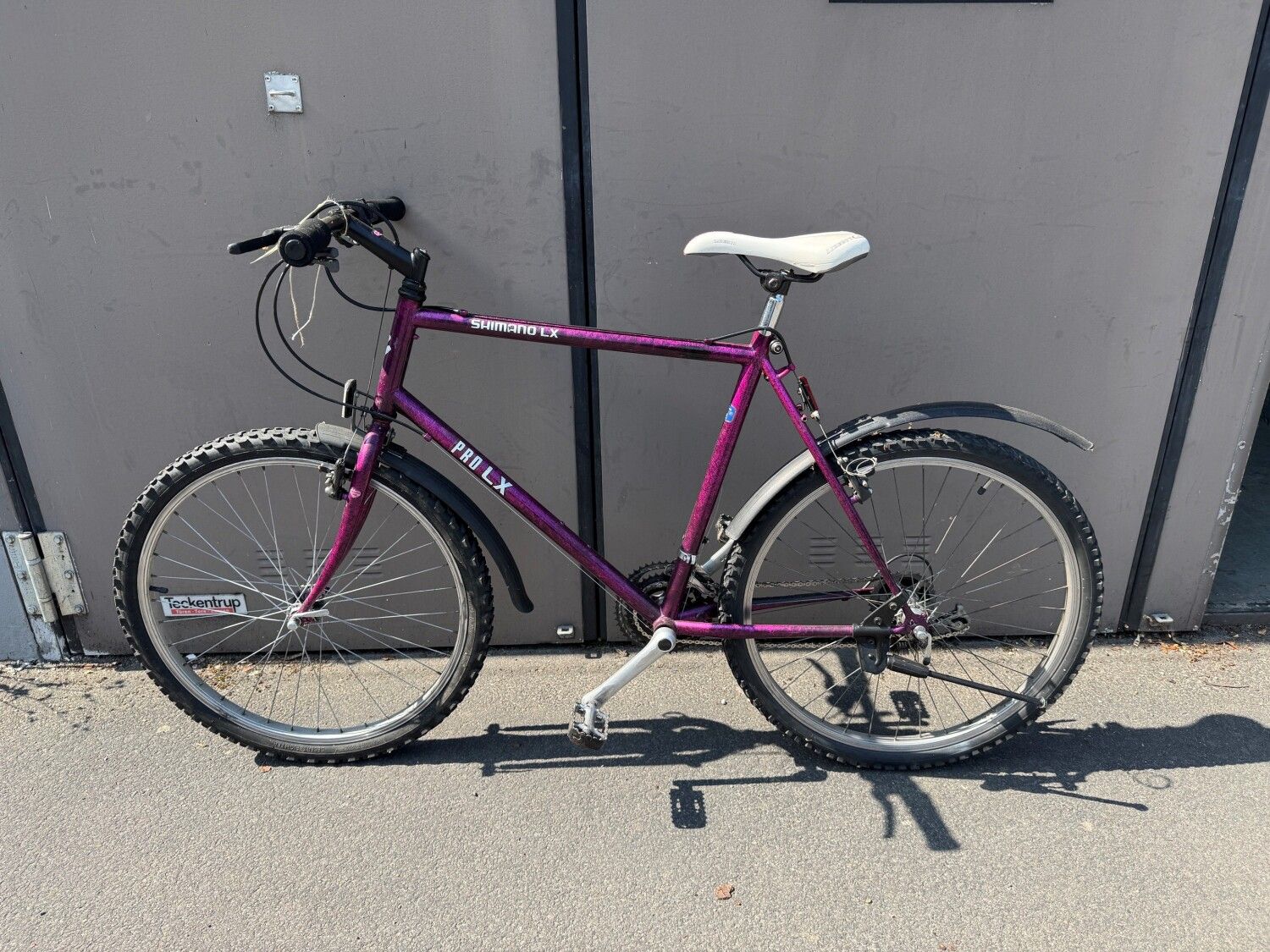 Lilafarbenes Herrenfahrrad