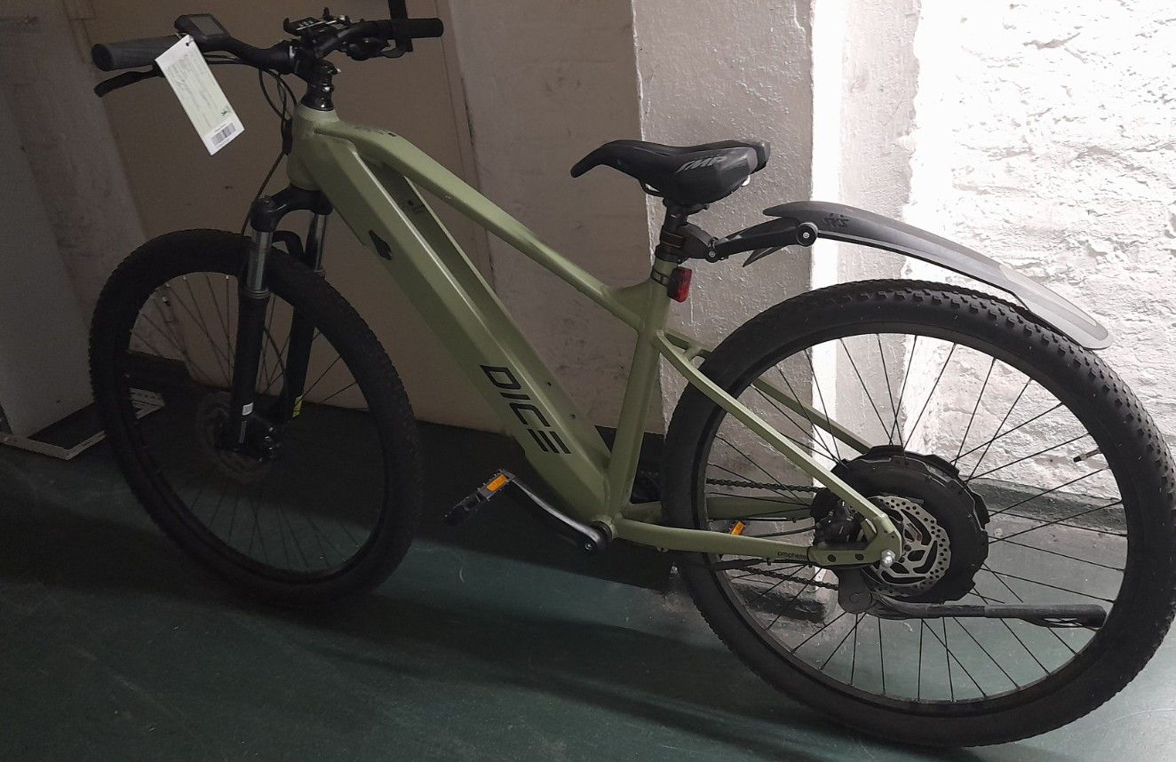 Grünes E-Bike