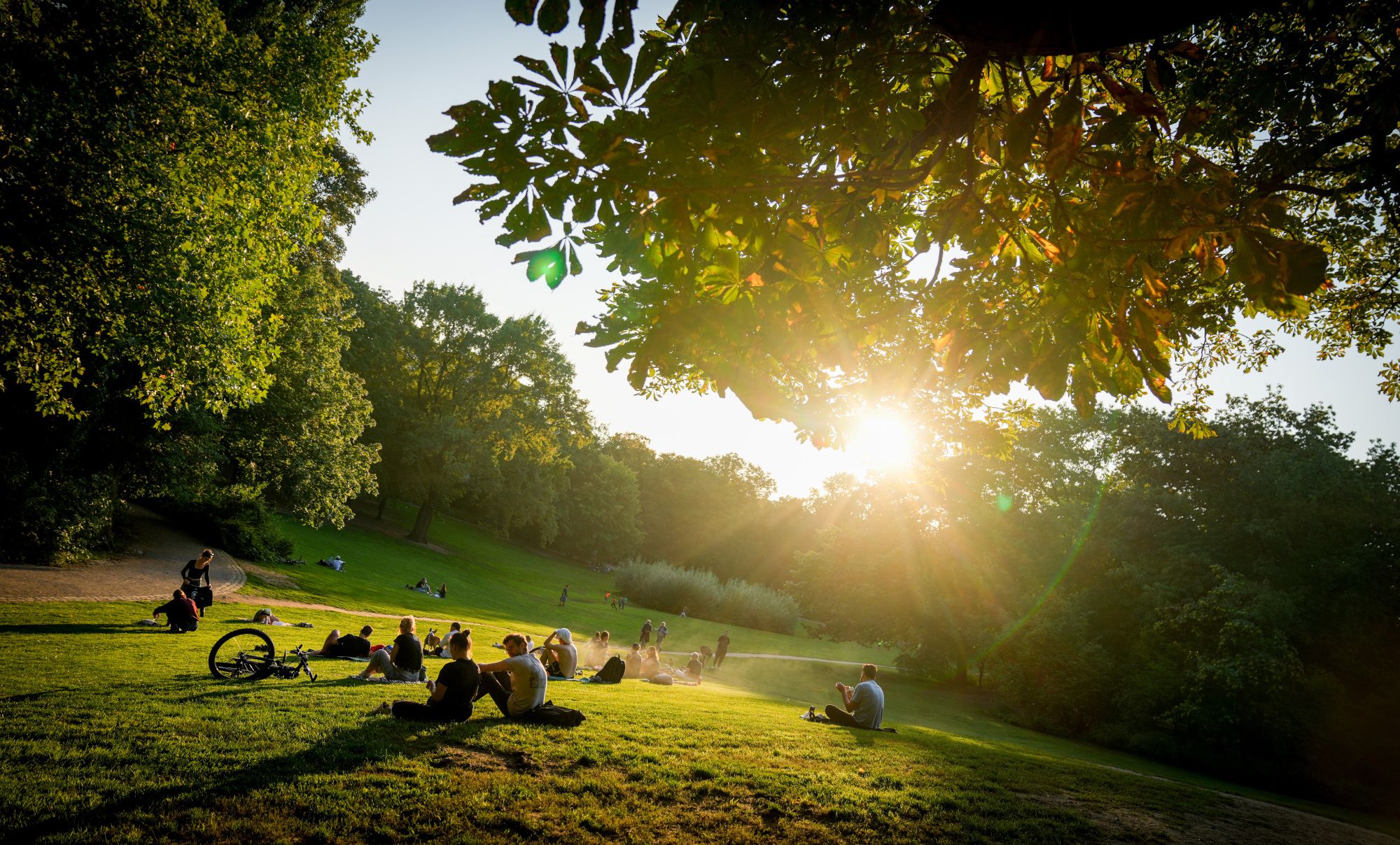 Klimaschutz in Berlin