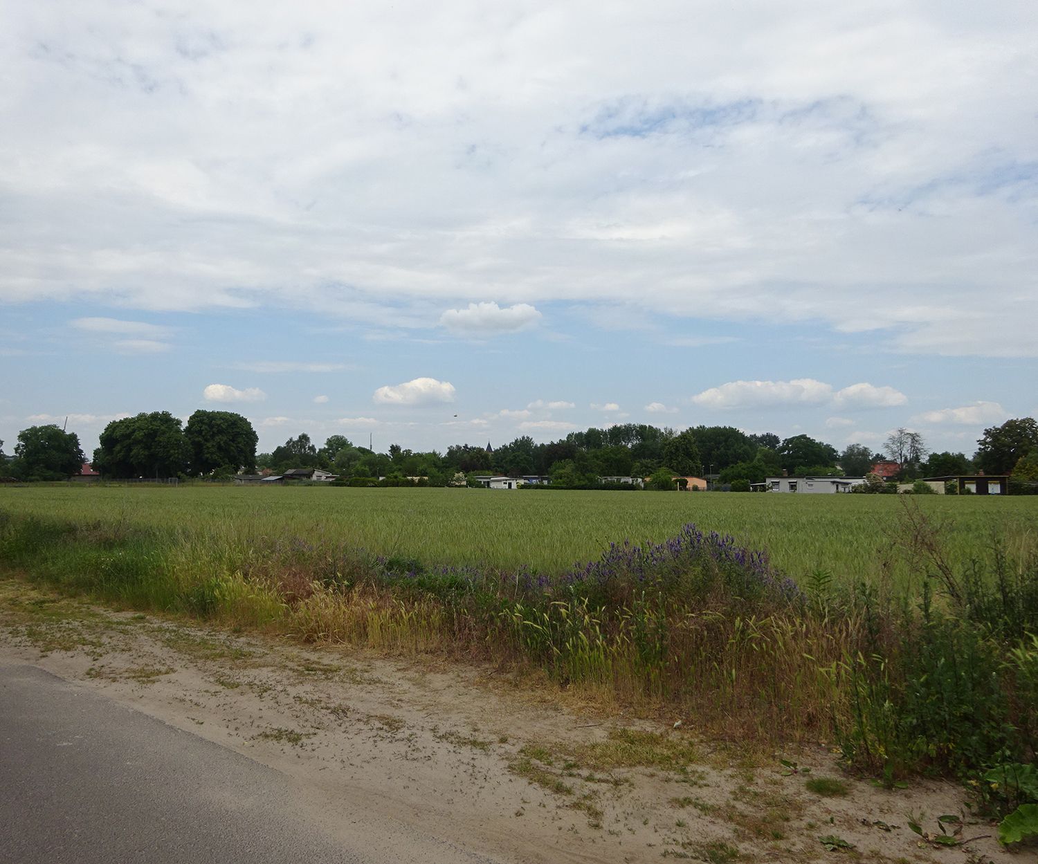 Karow Süd - Blick über freie Fläche