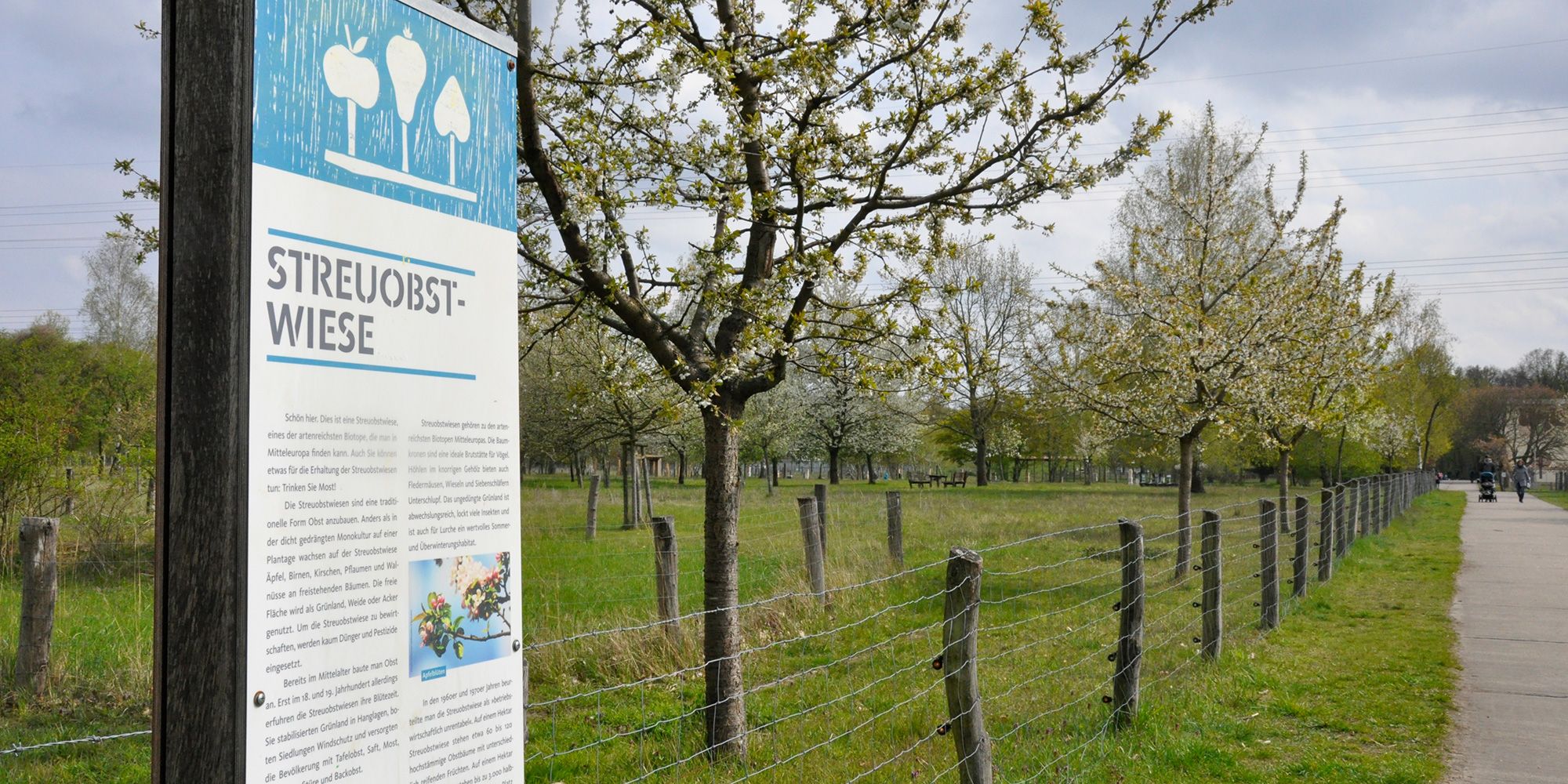 Im Landschaftspark Herzberge informiert eine hohe Tafel mit Text und Fotos über beweidete Streuobstwiesen. Sie steht vor einer umzäunten grünen Wiese. Die jungen Obstbäume haben helle Blüten und sind in lockeren Abständen entlang des Zauns gepflanzt. Am rechten Bildrand führt ein befestigter gerader Weg daran vorbei. In weiter Entfernung spazieren Menschen darüber.