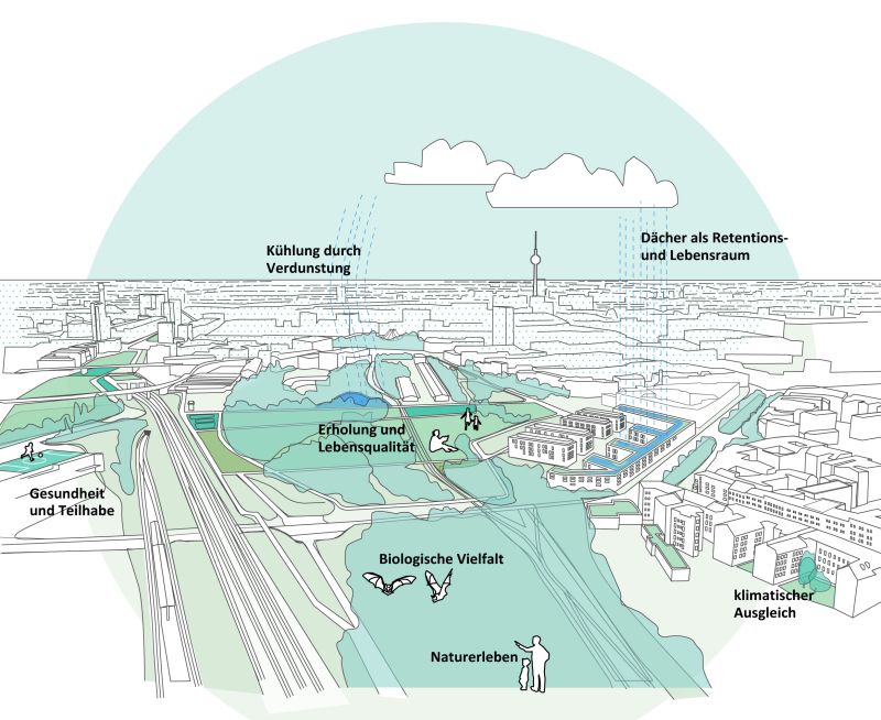 Was das Grün für das Ökosystem Stadt leistet