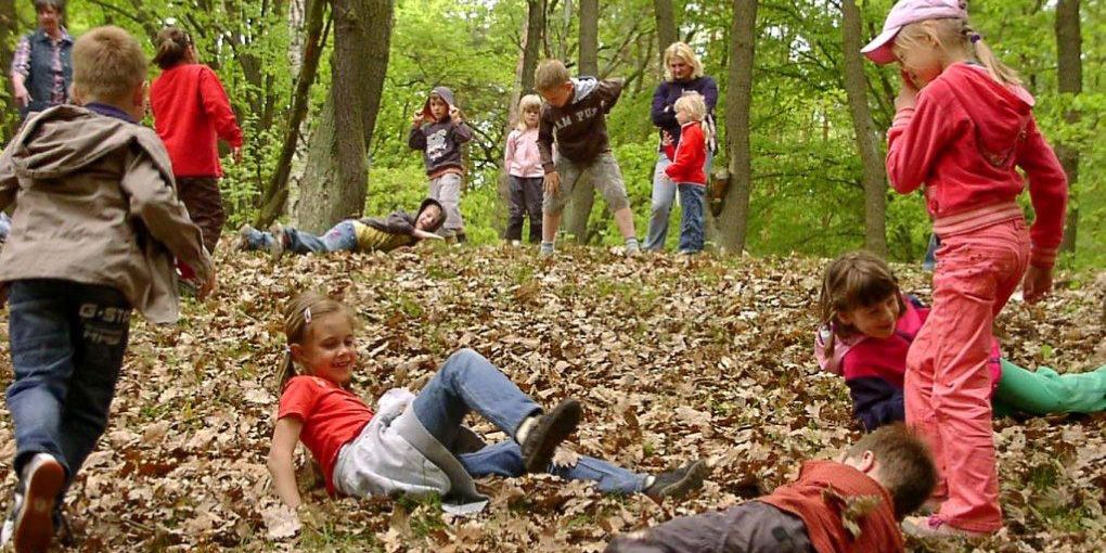 Kinder im Wald spielen im Laub