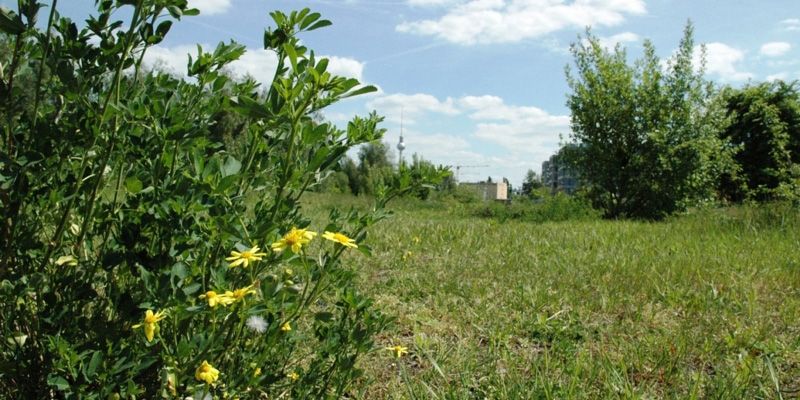 Park am Nordbahnhof