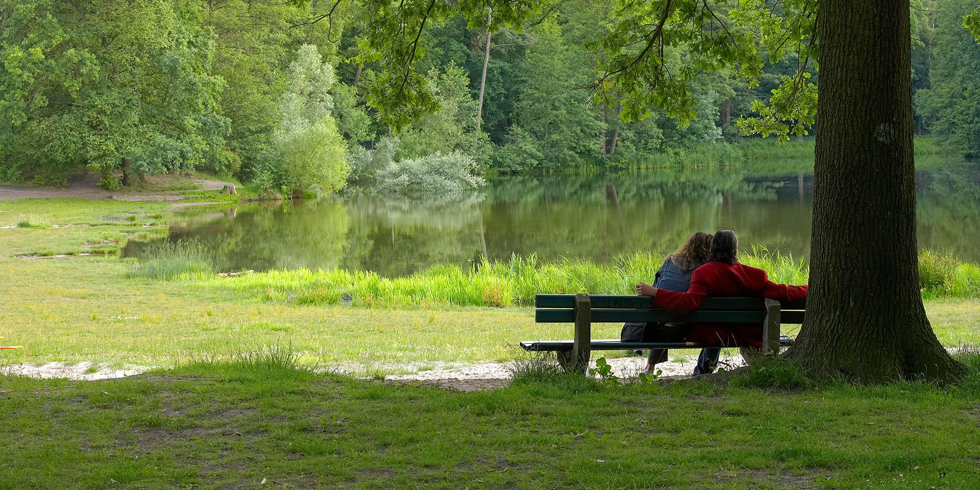 Grüne Wiesen im Volkspark Jungfernheide an einem kleinen See, der Bereich im Vordergrund liegt im Schatten, der hintere in der Sonne. Rechts sitzen neben einem hohen Baumstamm abgewandt zwei Menschen aneinandergeschmiegt auf einer Bank. Eine Frau mit langem Haar und in blauer Jacke und eine Person mit dunklem Haar in roter Jacke. Vor ihnen verläuft ein schmaler Weg. Im Hintergrund wachsen dicht stehende hohe Bäume.