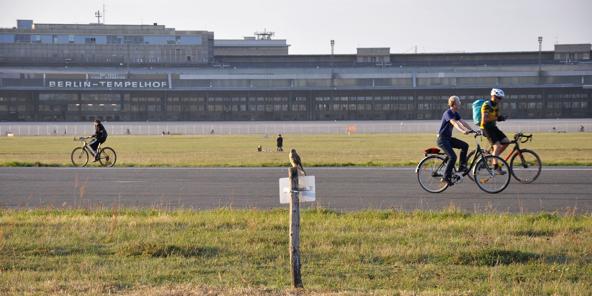 Auf dem Tempelhofer Feld sind drei Radfahrer auf einer ehemaligen Rollbahn des Flughafens unterwegs. Zwei Männer fahren nach rechts, eine dritte Person nach links. Die asphaltierte Rollbahn wird von ausgedehnten Wiesen begrenzt. Im Vordergrund sitzt ein Turmfalke auf einem Pflock, an dem ein Schild befestigt ist. Im Hintergrund erstreckt sich die frühere Flugsteighalle mit dem Schriftzug: Berlin - Tempelhof.