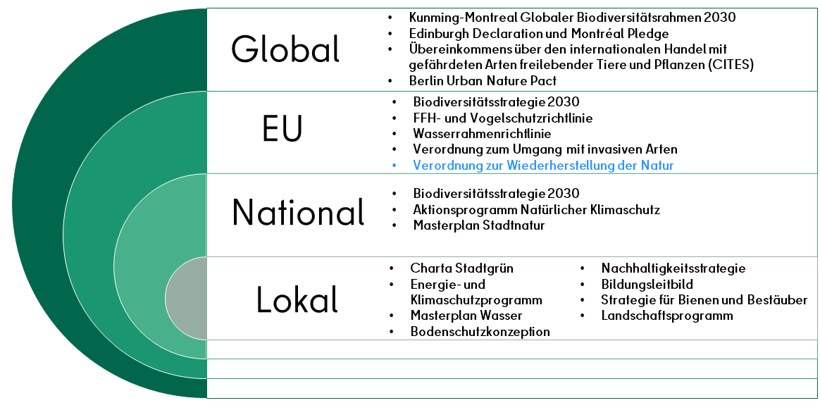 .Biodiversitätsabkommen von lokaler bis globaler Ebene, denen Berlin gerecht werden muss. (Bild: SenMVKU)