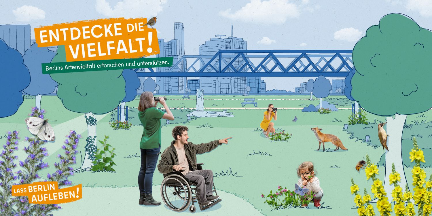 Die Grafik „Entdecke die Vielfalt!“ zeigt eine Grünfläche im Gleisdreieck-Park. Links sitzt ein Kohlweißling auf den Blüten eines Natternkopfs, eine Brennnesselpflanze wächst bei einer Birke. Rechts saugt eine Wildbiene Nektar von einer Königskerze. Ein Hauhechel-Bläuling sitzt auf einer Rotklee-Blüte. Ein Kind betrachtet die Pflanze durch eine Lupe. Ein Rotkehlchen und ein Fuchs bevölkern die Grünfläche. Eine Frau schaut durch ein Fernglas, ein Mann im Rollstuhl zeigt auf einen Grünspecht.