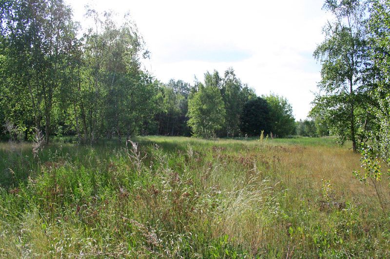 Teilbereich zwischen Provinz- und Kopenhagener Straße