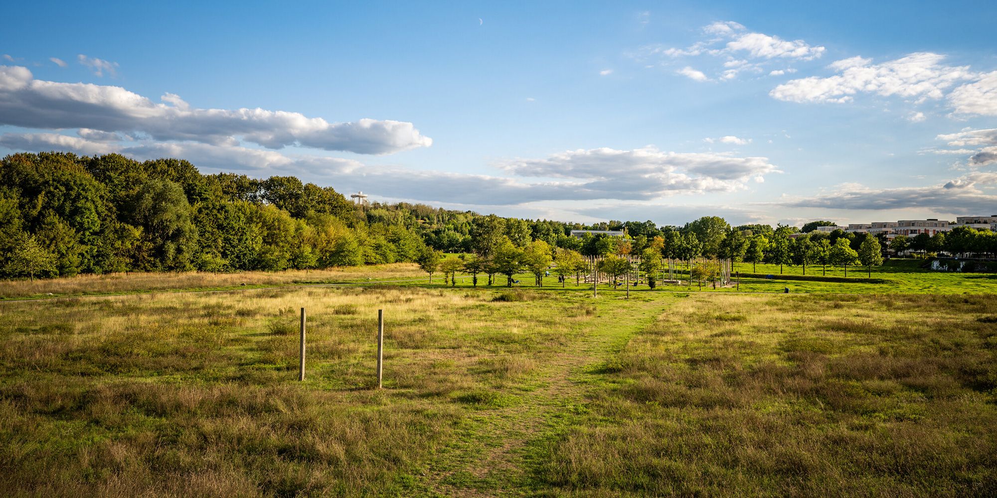 Wiesenpark an der Wuhle