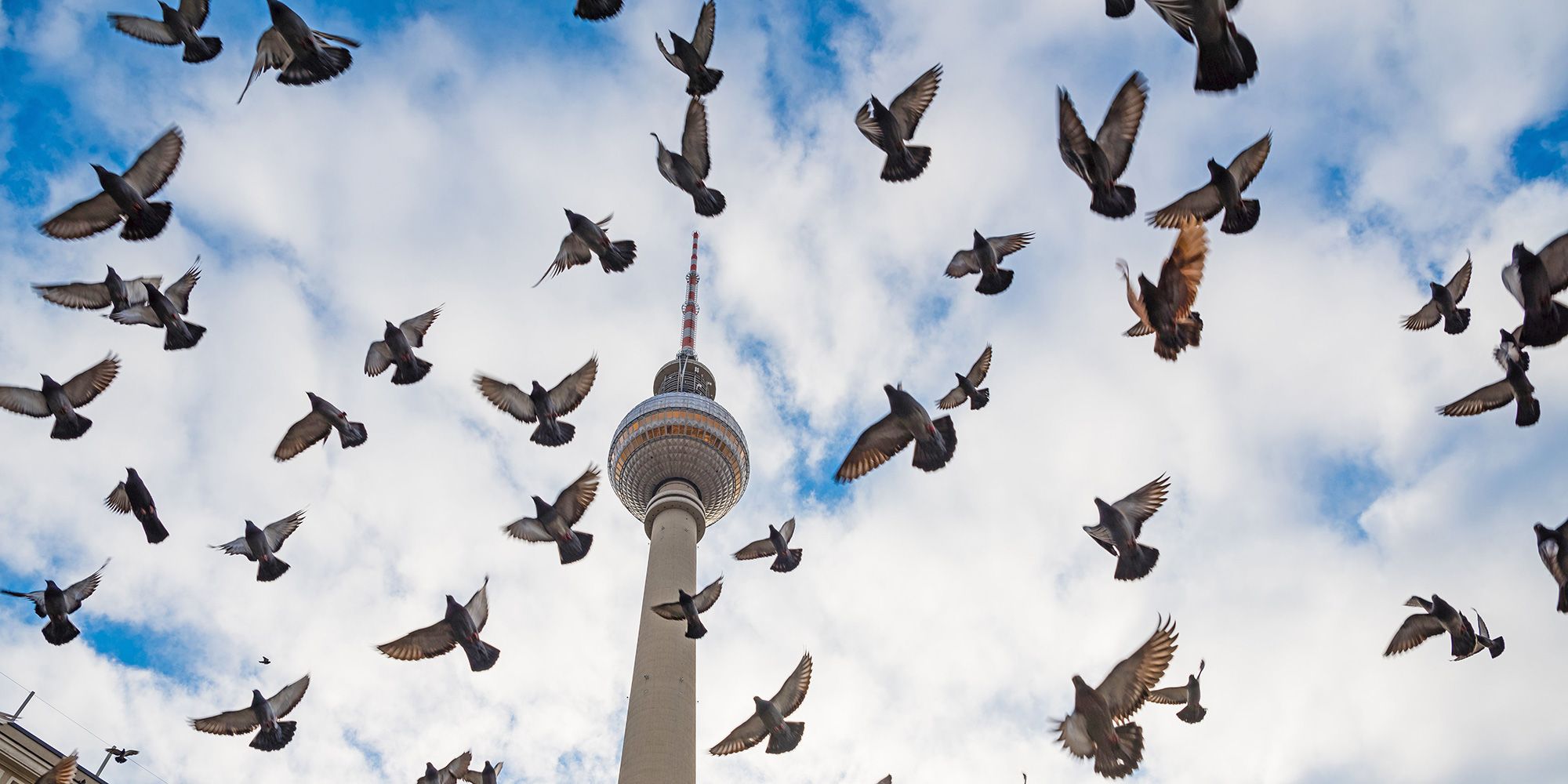 Fernsehturm am Alexanderplatz und fliegende Tauben am Himmel