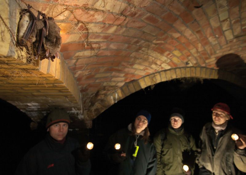 Fledermauswinterquartier im Wasserwerk Tegel (Bild: Florian Möllers)