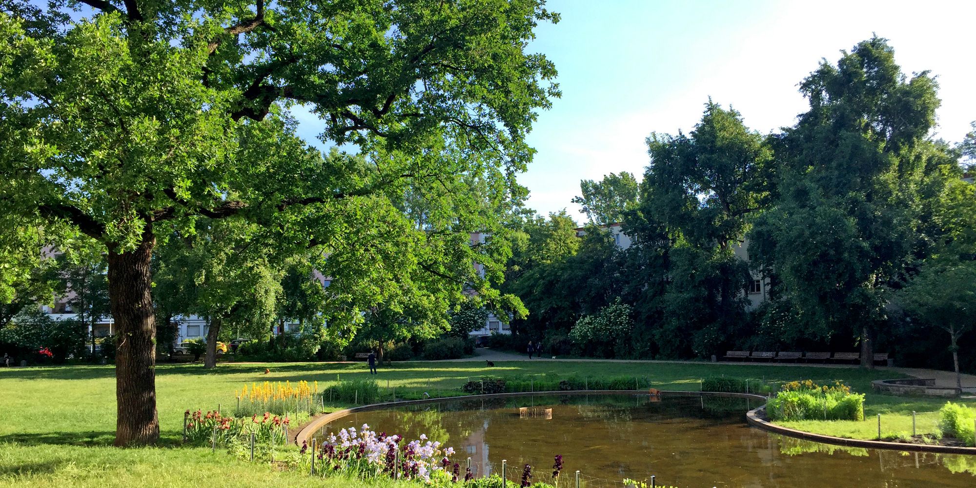 Grünanlage Weberwiese