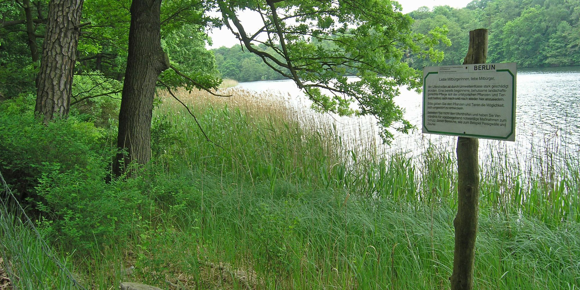 Renaturiertes Ufer (Bild: SenUMVK)