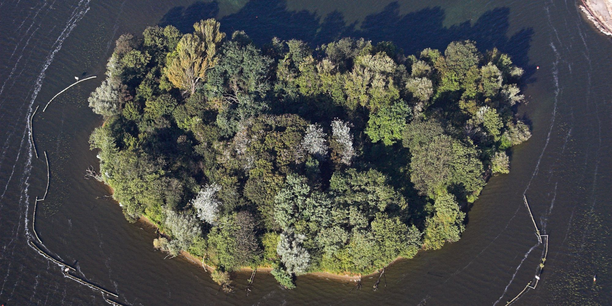 Luftbild der Insel Imchen (Bild: Florian Möllers)