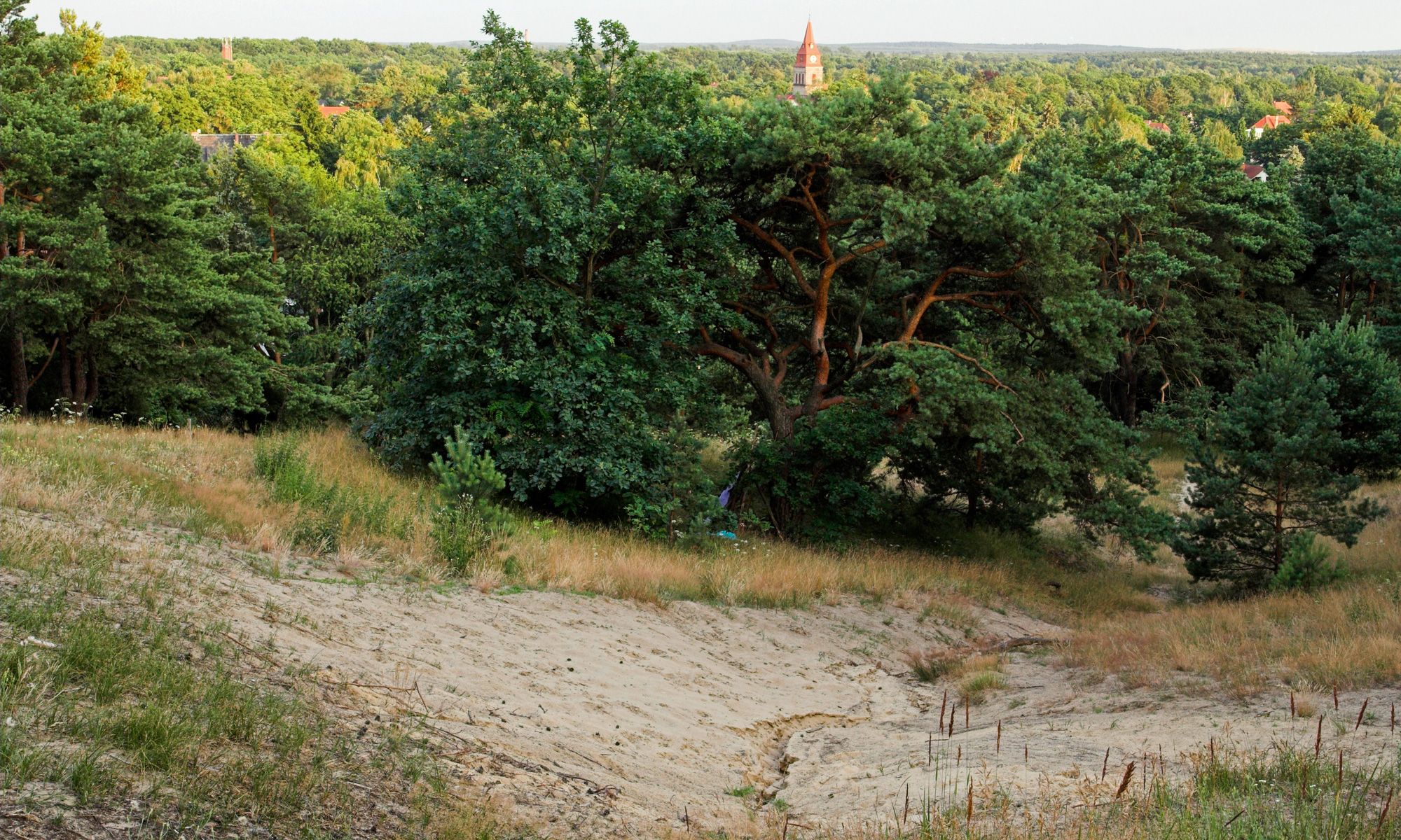 Blick von den Püttbergen nach Wilhelmshagen (Bild: Bruno D'Amicis)