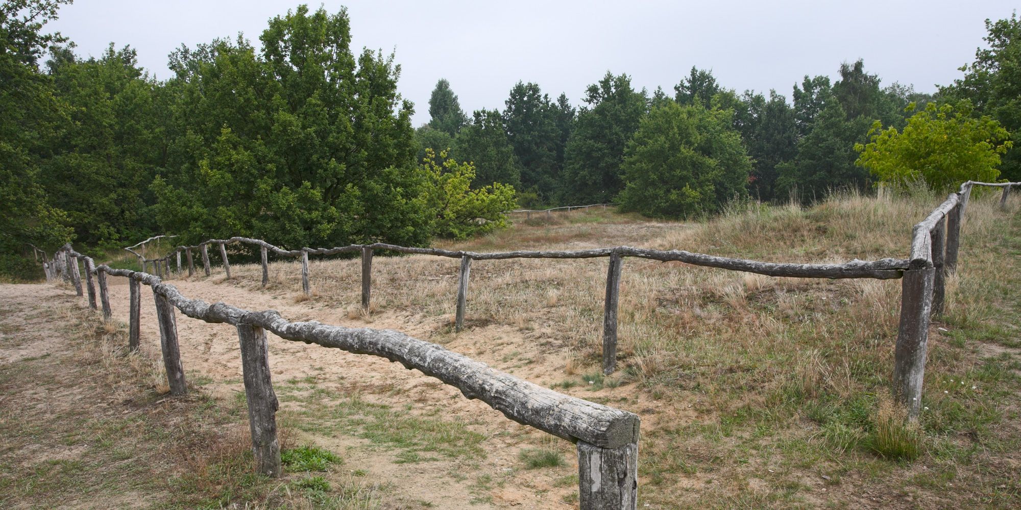 Windmühlenberg (Bild: Florian Möllers)