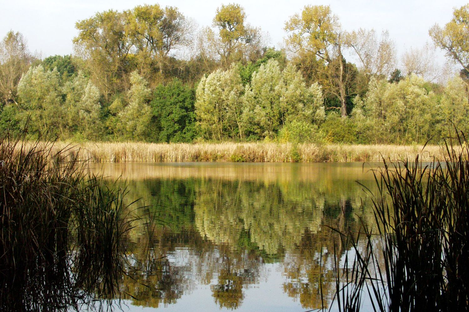 Fauler See (Bild: SenUMVK)